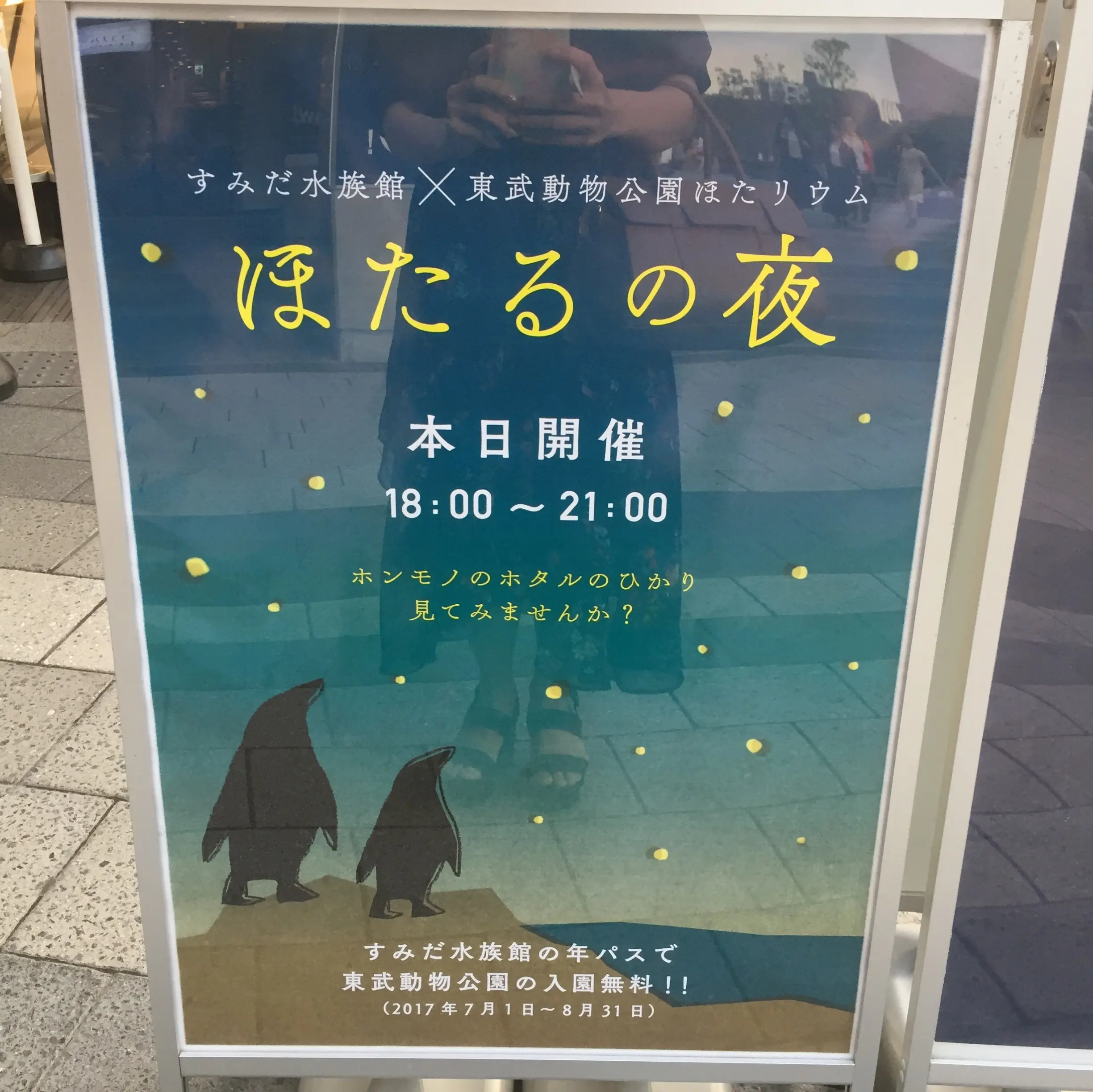 【6/18まで】すみだ水族館のスペシャルコラボ✨期間限定『ほたるの夜』でロマンチックな夜を♪♪ _1