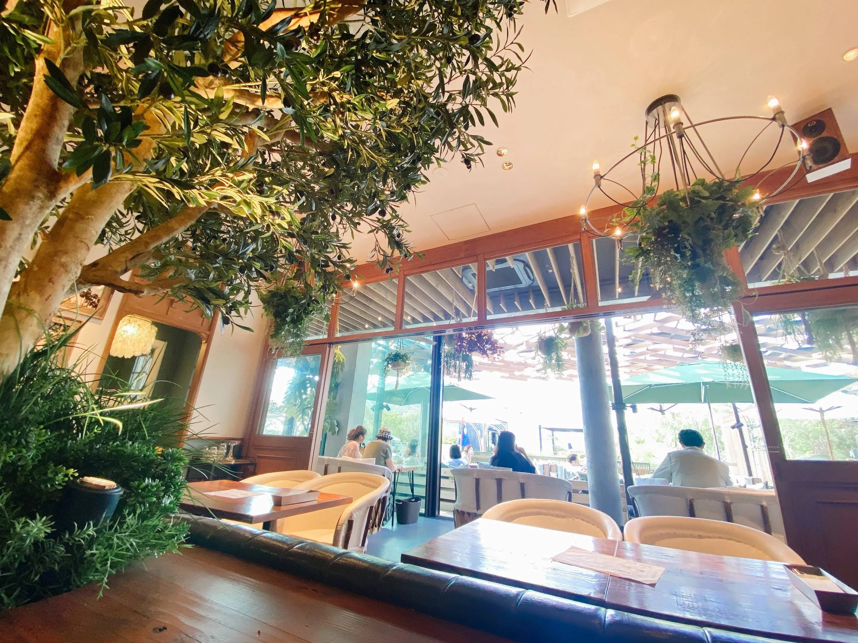 【GREEN HOUSE by MERCER BRUNCH】緑あふれるガーデンでいただく、まさに夢のシフォンケーキ(◦ˉ ˘ ˉ◦)。・゚@二子玉川_1