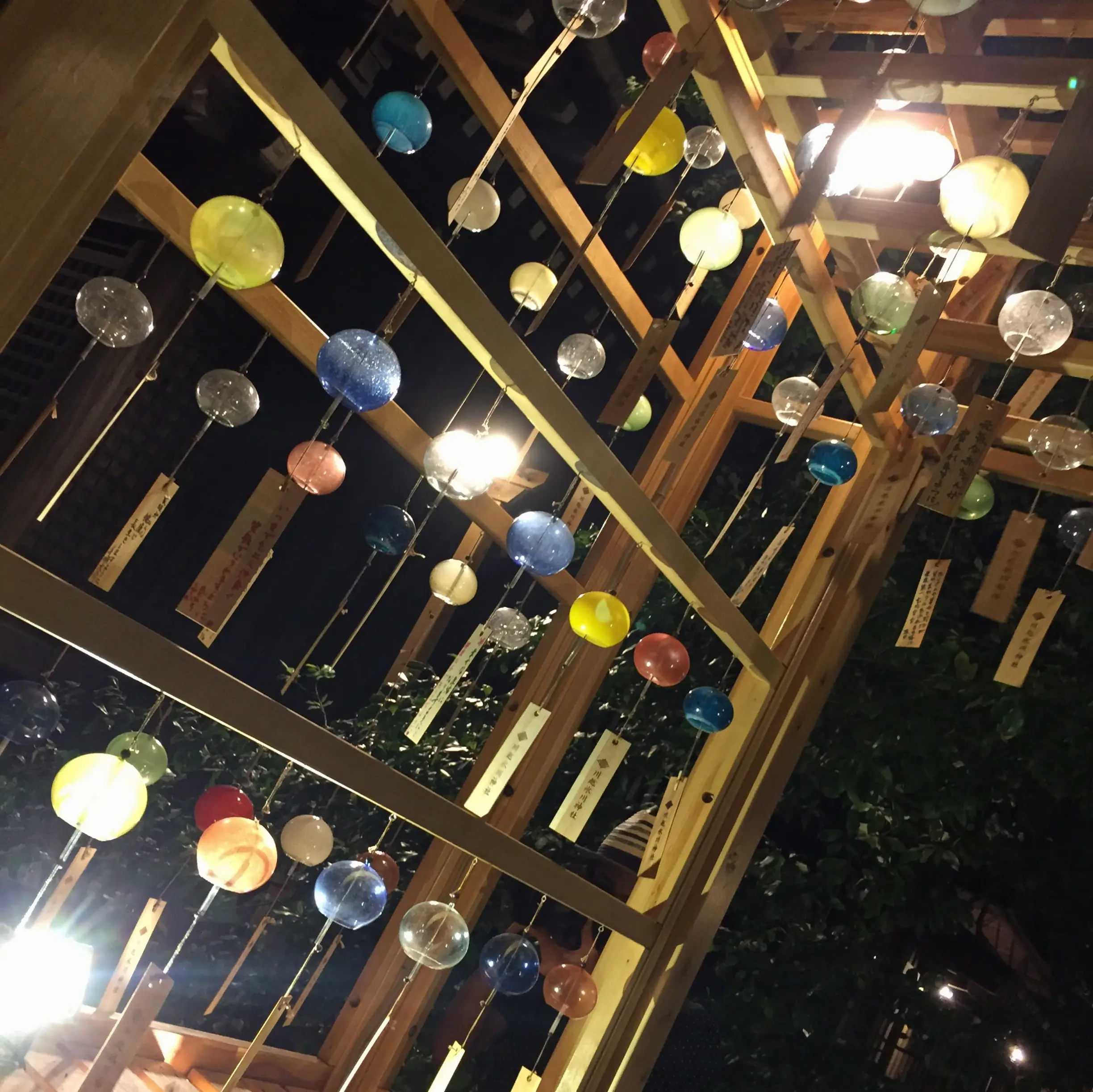【8/31まで】写真だけでも幸せな気持ちになれる?フォトジェニックな夏の風物詩をお裾分け✨✨今話題の《*川越氷川神社*》に行ってきました♪♪_3