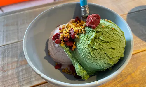 乳製品・砂糖・グルテン不使用の次世代アイスクリーム【Kippy’s COCO-CREAM】_6