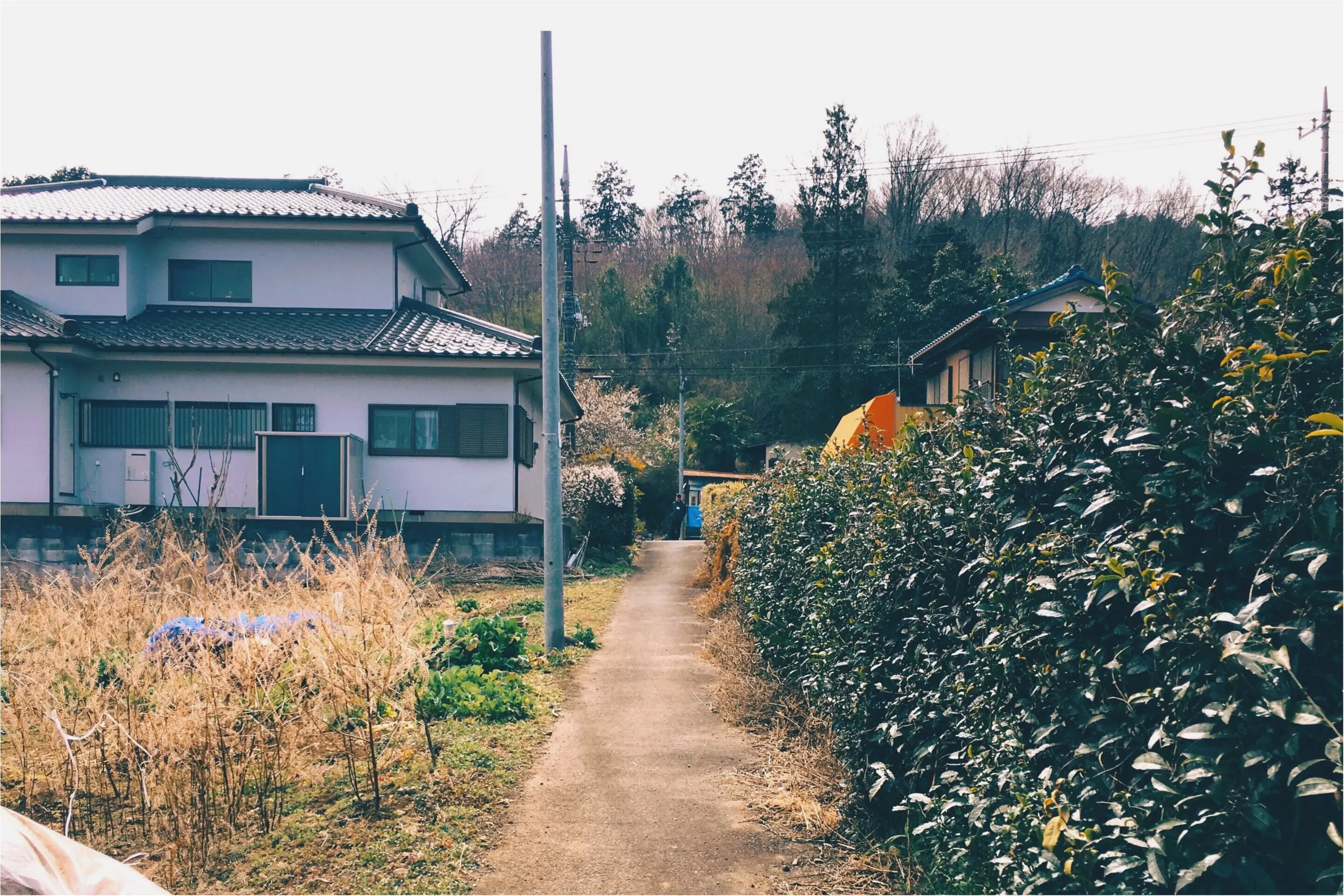 春の週末旅*飯能にて農ある暮らしを見つめる旅【古民家編】♡_10