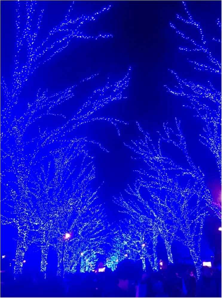 ♡25日クリスマスあなたはどこへ行く?都内のおすすめイルミネーション・クリスマスマーケット♡_3