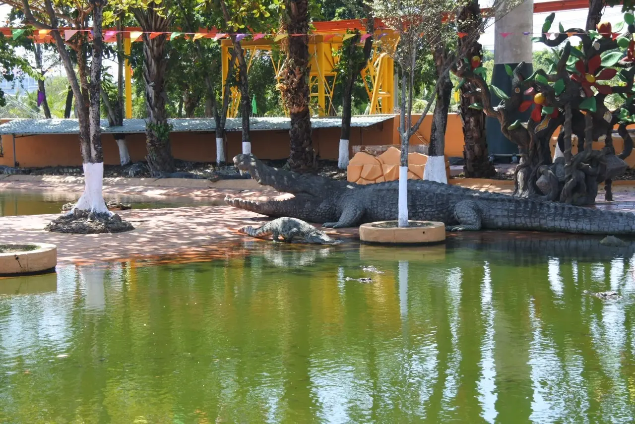 スイティエン公園のワニに餌やりコーナー
