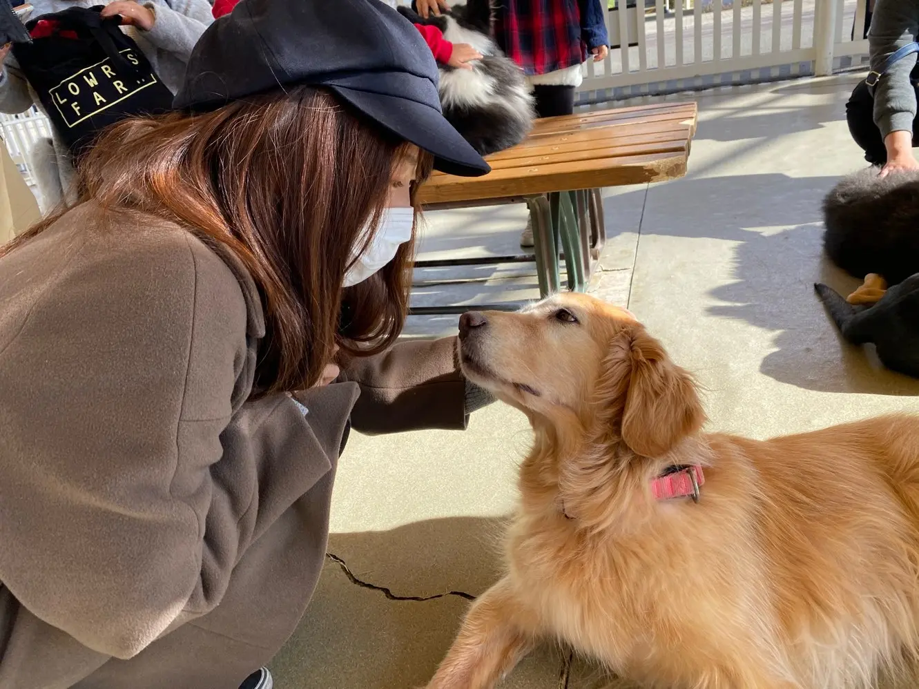 那須どうぶつ王国 たくさんの動物と触れ合える 癒しの時間 Moreインフルエンサーズブログ Daily More