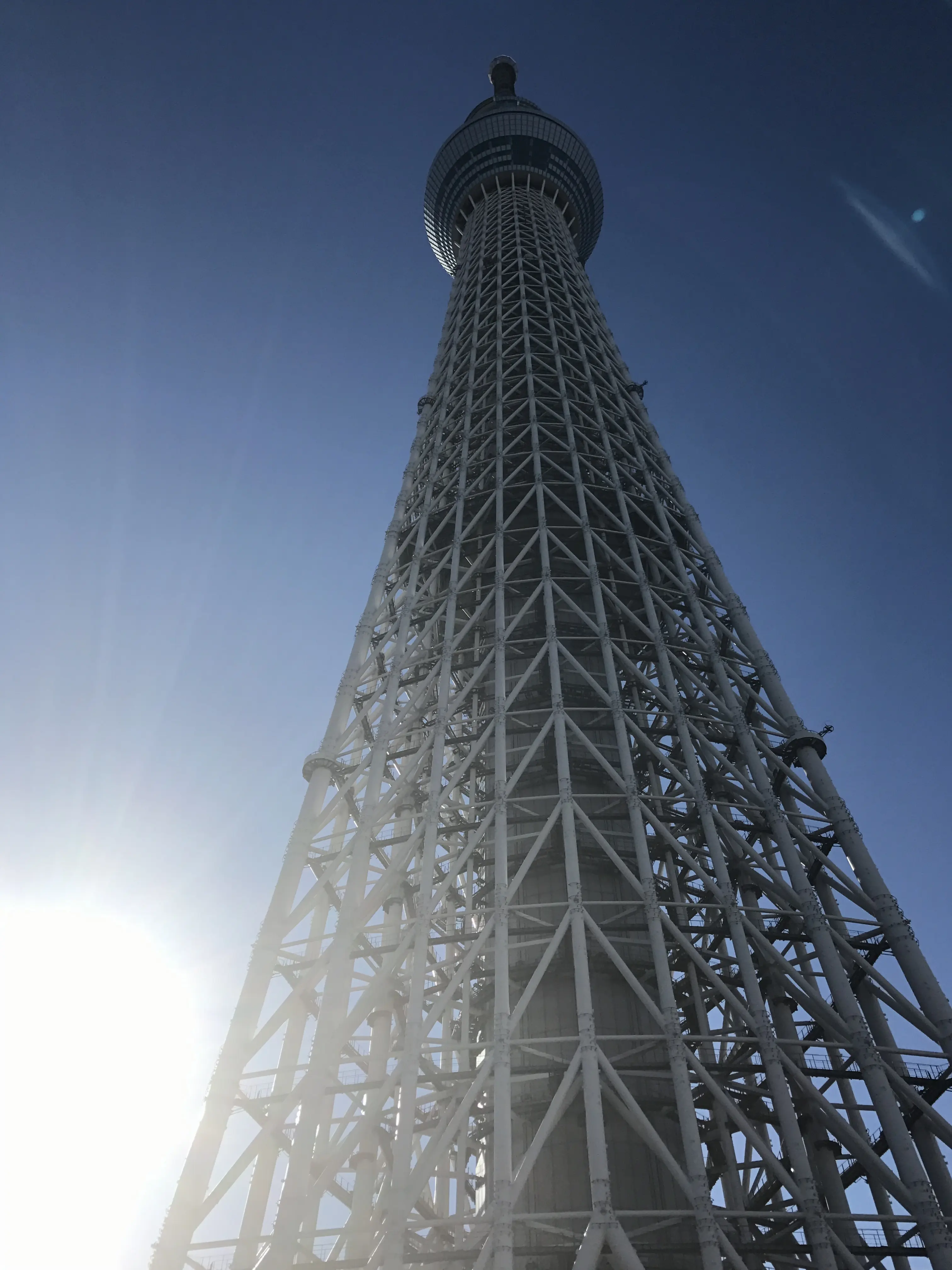 東京散歩~スカイツリー&すみだ水族館~_1