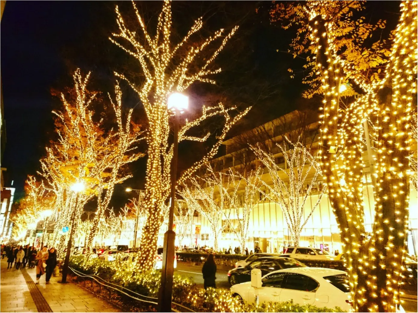 【しの散歩】今年もこの季節がやってきました♪お出掛けやお買い物ついでに是非 ◎『Epsonpresents 表参道イルミネーション2017』_1