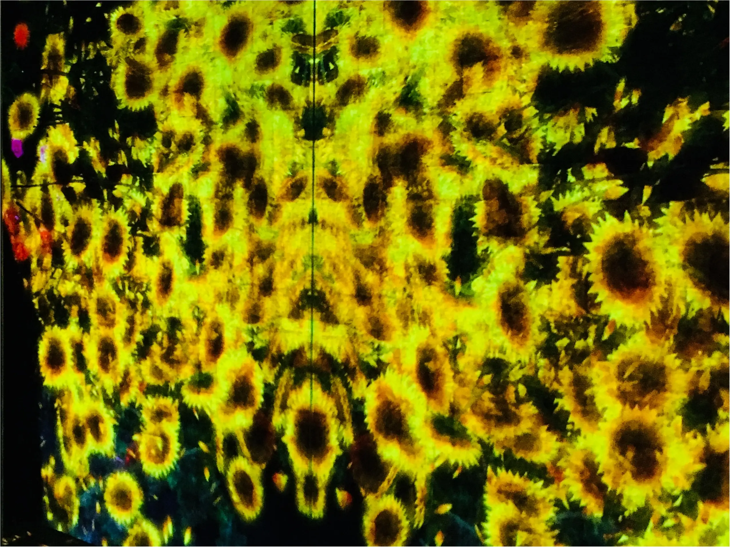 大人気!話題のお台場【teamLab★Borderless】へやっと行けました♡_5