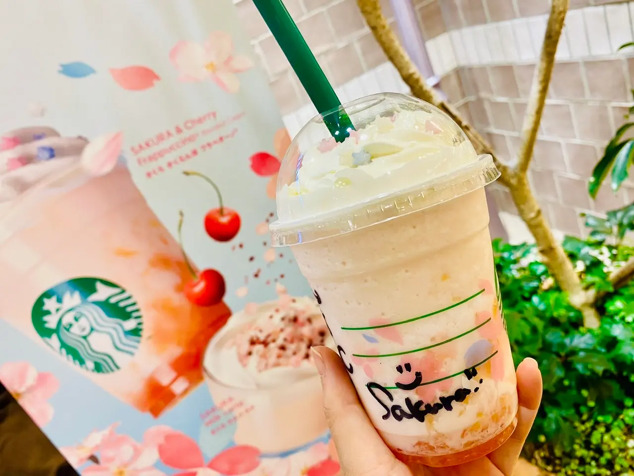 【スタバ新作】隠し味は◯◯!果肉感たっぷり《さくら さくらんぼ フラペチーノ》♡_3