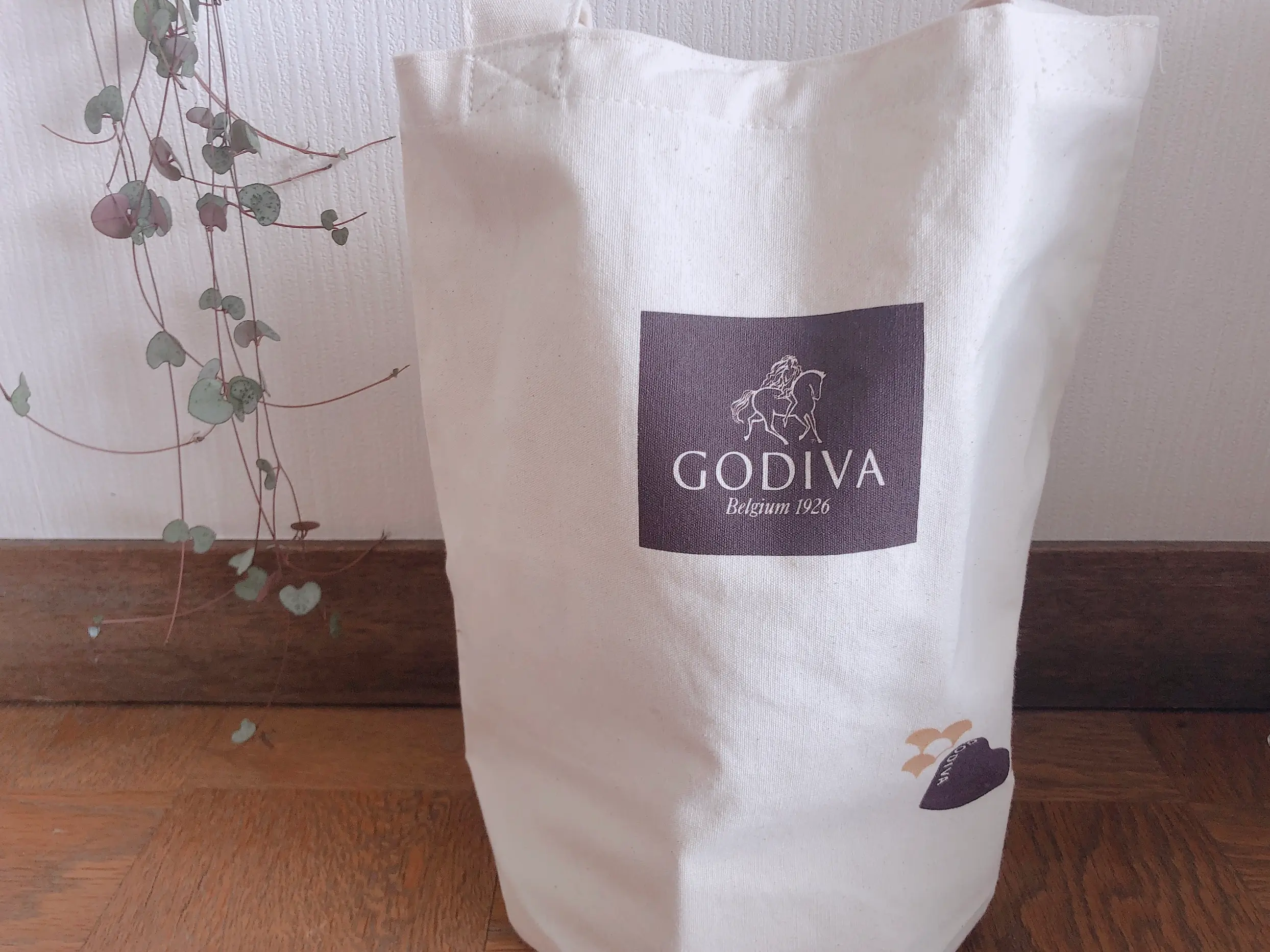 【失敗しない福袋2019】アウトレットGODIVAの福袋!!_1