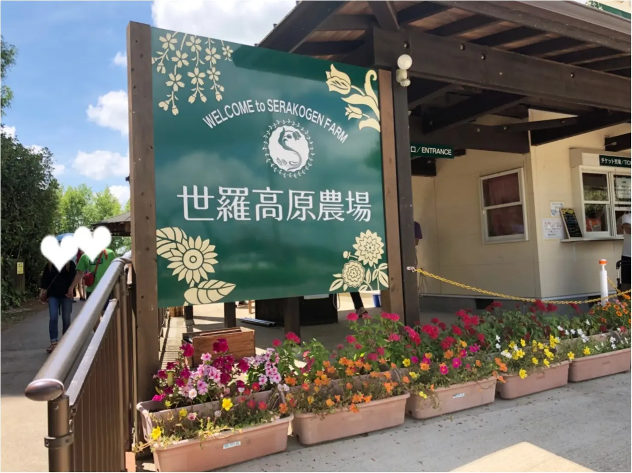 美しい夏の絶景♡ 100万本のひまわりが一面に広がる『ひまわり畑』が見たい♡♡_1