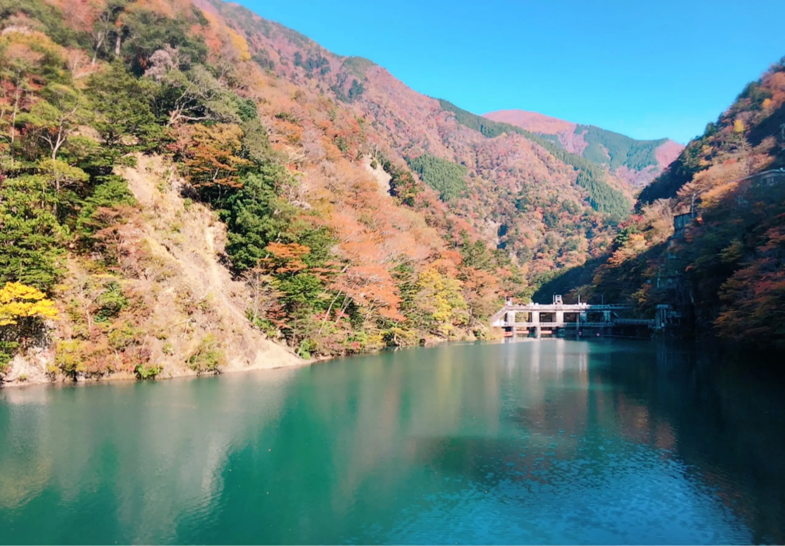 【#静岡】《夢の吊り橋×秋・紅葉》美しすぎるミルキーブルーの湖と紅葉のコントラストにうっとり♡湖上の吊り橋で空中散歩気分˚✧₊_7