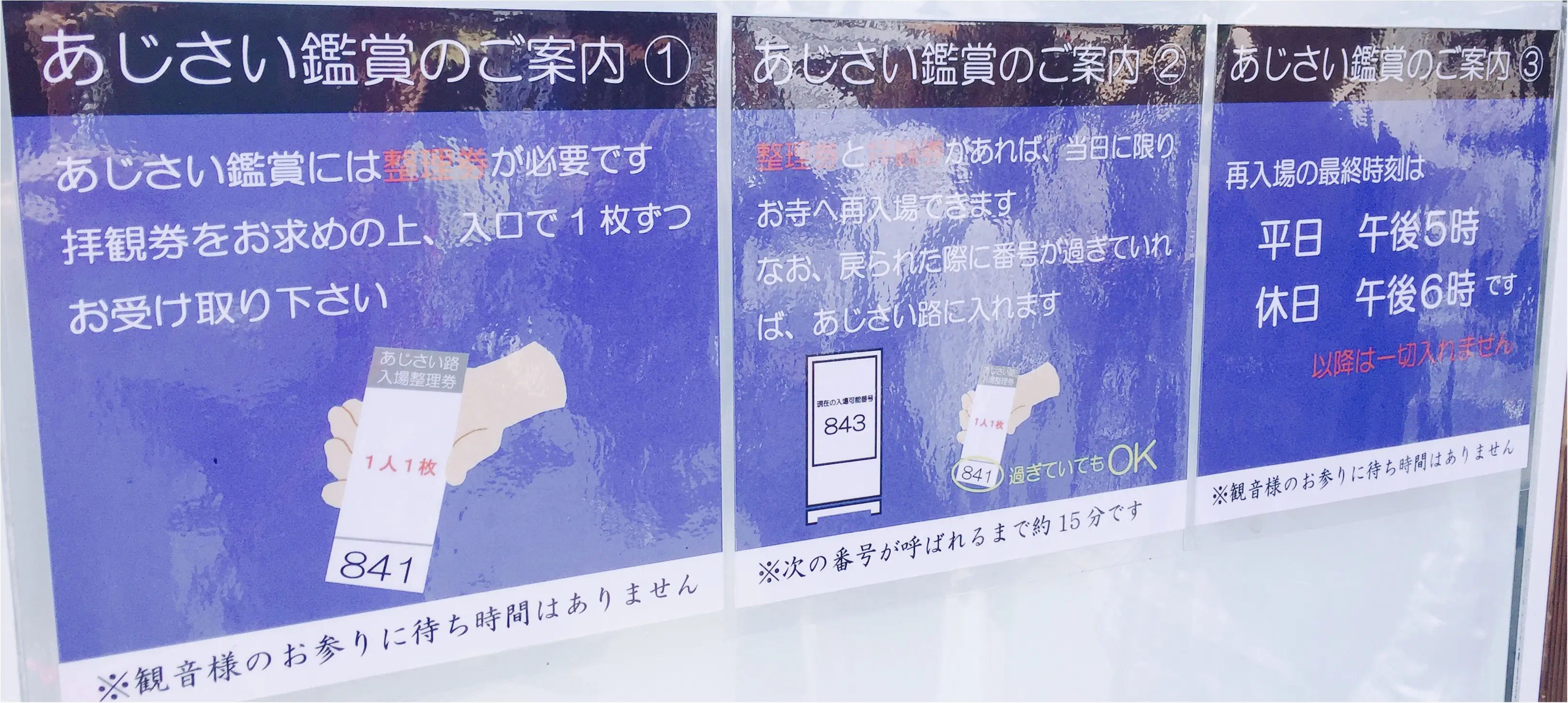【鎌倉・長谷寺】紫陽花が見頃!待ち時間にオススメのランチスポットをご紹介♡_3