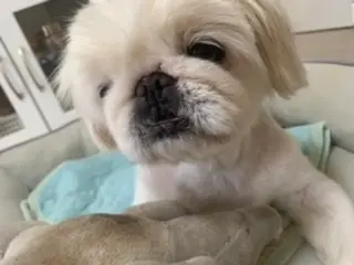 久しぶりの実家♡_1