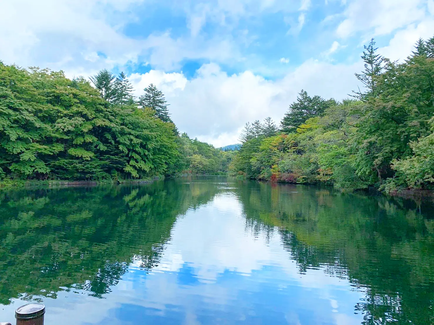 【軽井沢・日帰り紅葉旅におすすめ】リフレクションが美しい「雲場池」★_1