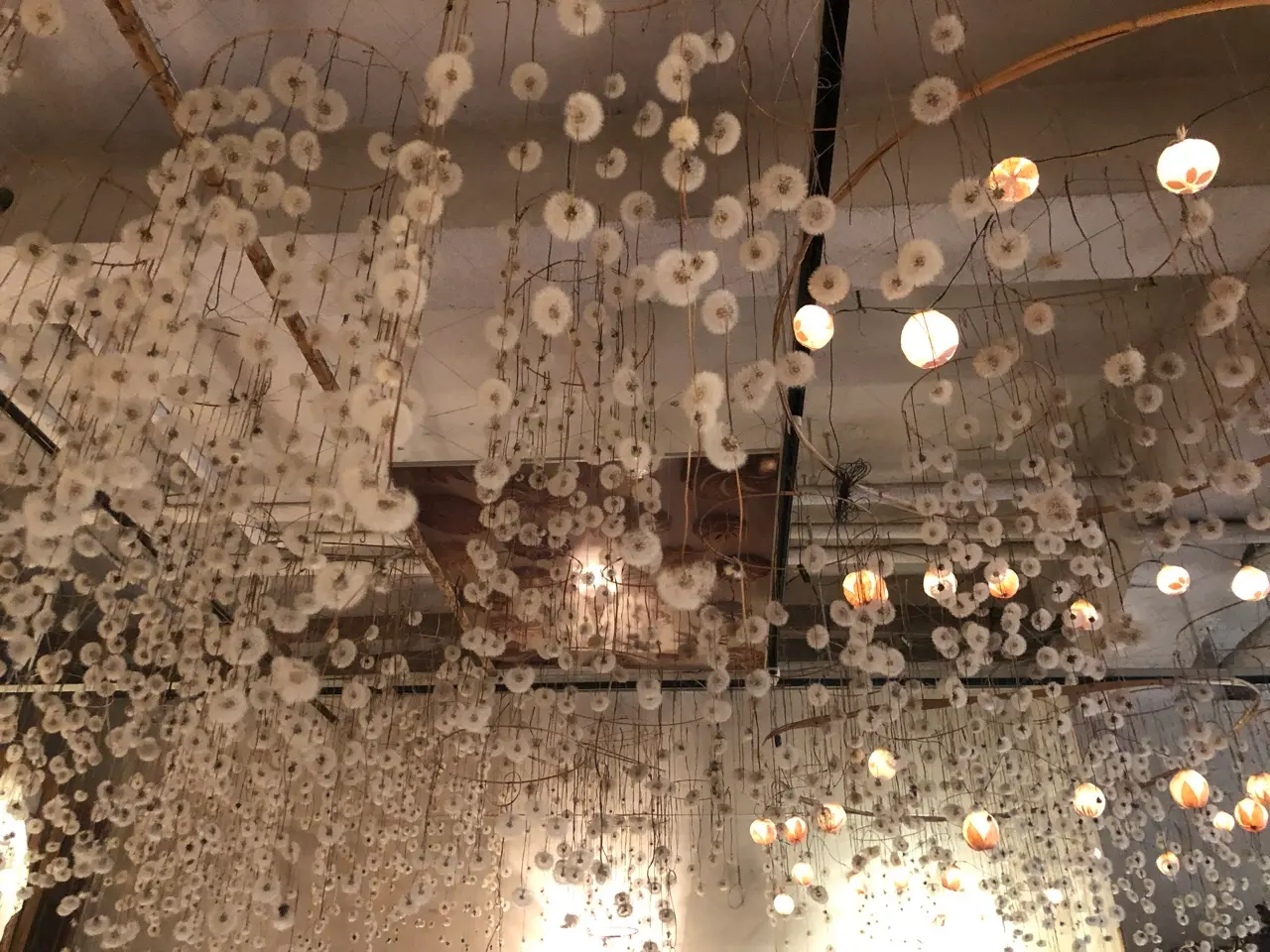 【金沢】北陸の魅力発信!インスタ映え間違いなしの幻想的空間【HIMITO】_2