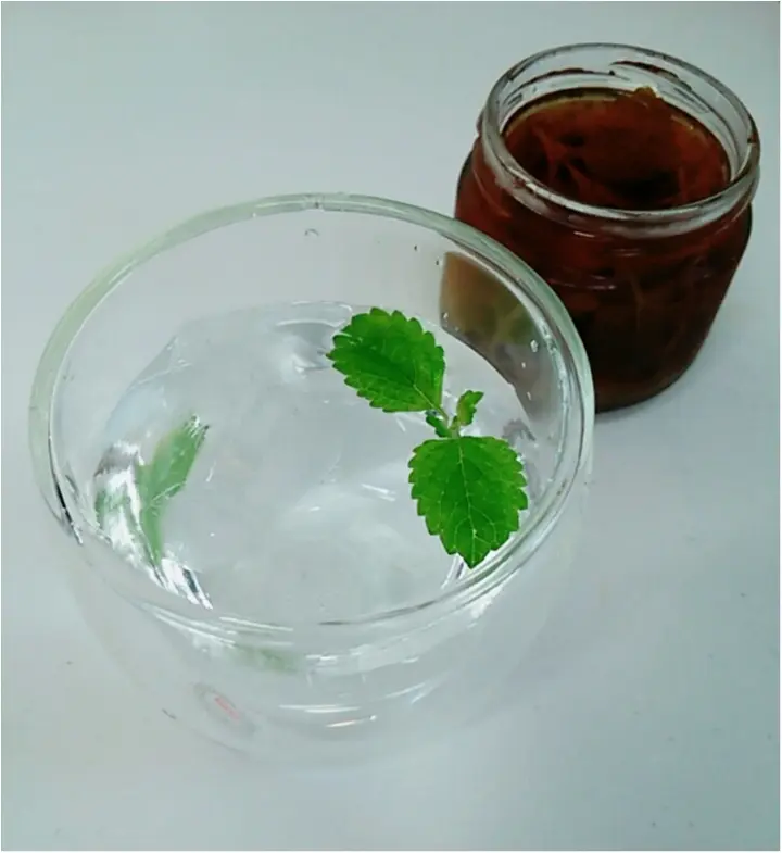 【ハーブのある生活】「レモンバーム」を使った体の芯から温まるシロップ (443 まゆ_1