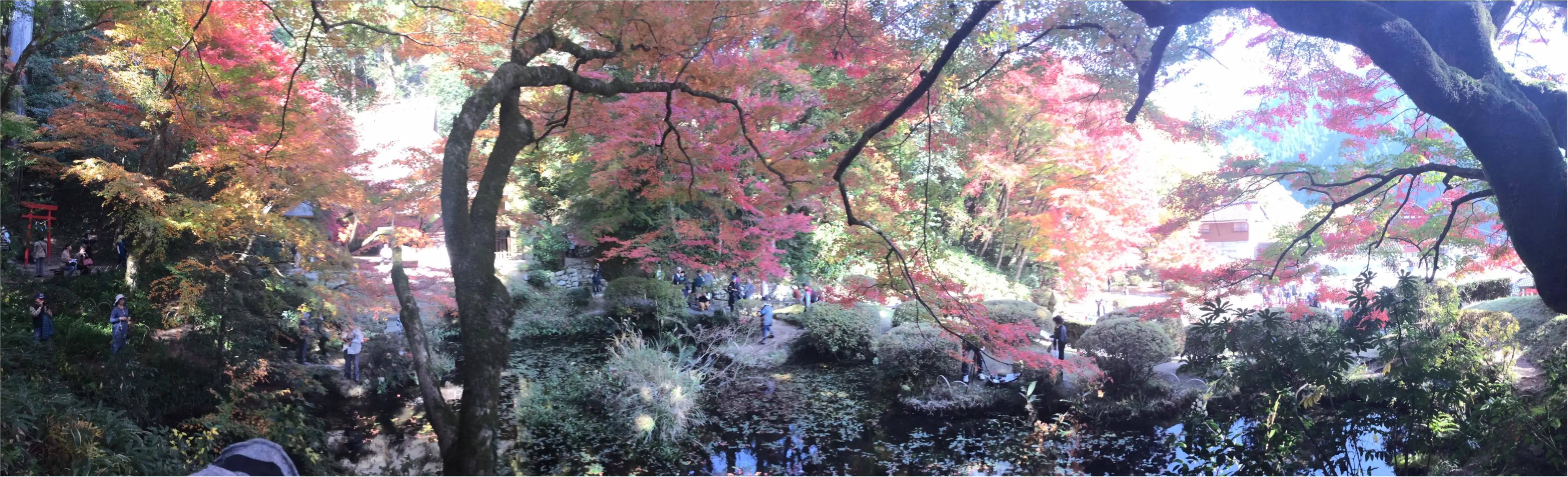【#紅葉デート】春と秋に2週の週末しか一般公開されない!広島県を代表する紅葉スポット『吉水園』♡_1
