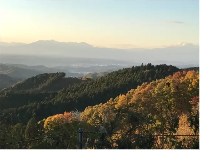 【パワースポット】栃木県の鷲子山神社へ運気アップに行ってきました♪《メディアで話題のフクロウ神社》_1