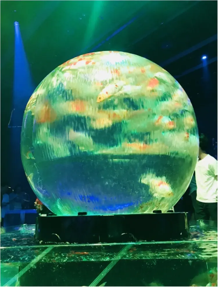 夏の風物詩 金魚のアートアクアリウム【日本橋】_4