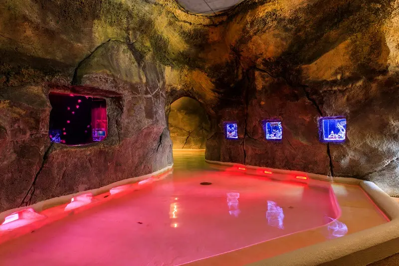 全身PINKなら入場料半額!! 温泉もスイーツも館内すべてピンク♡ 女子旅は『箱根小涌園ユネッサン』で決まり【#桜 2019 17】_5