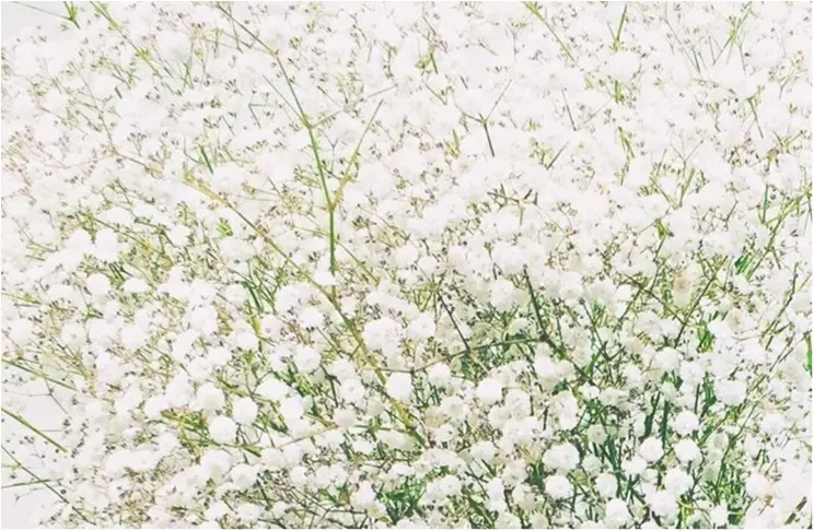 ☆乾燥対策!フェイシャル用をハンドケアにも?!☆植物オイルでしっとりケア!【モアハピ部:まな】_2