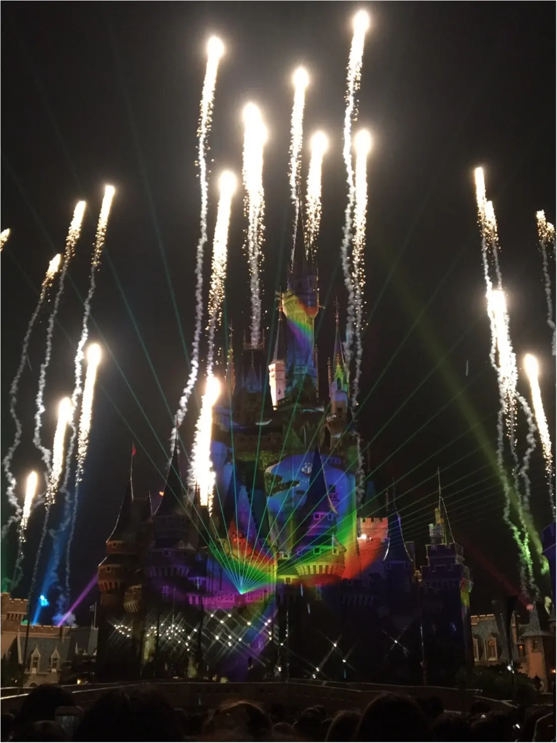 ディズニーランド♪_2