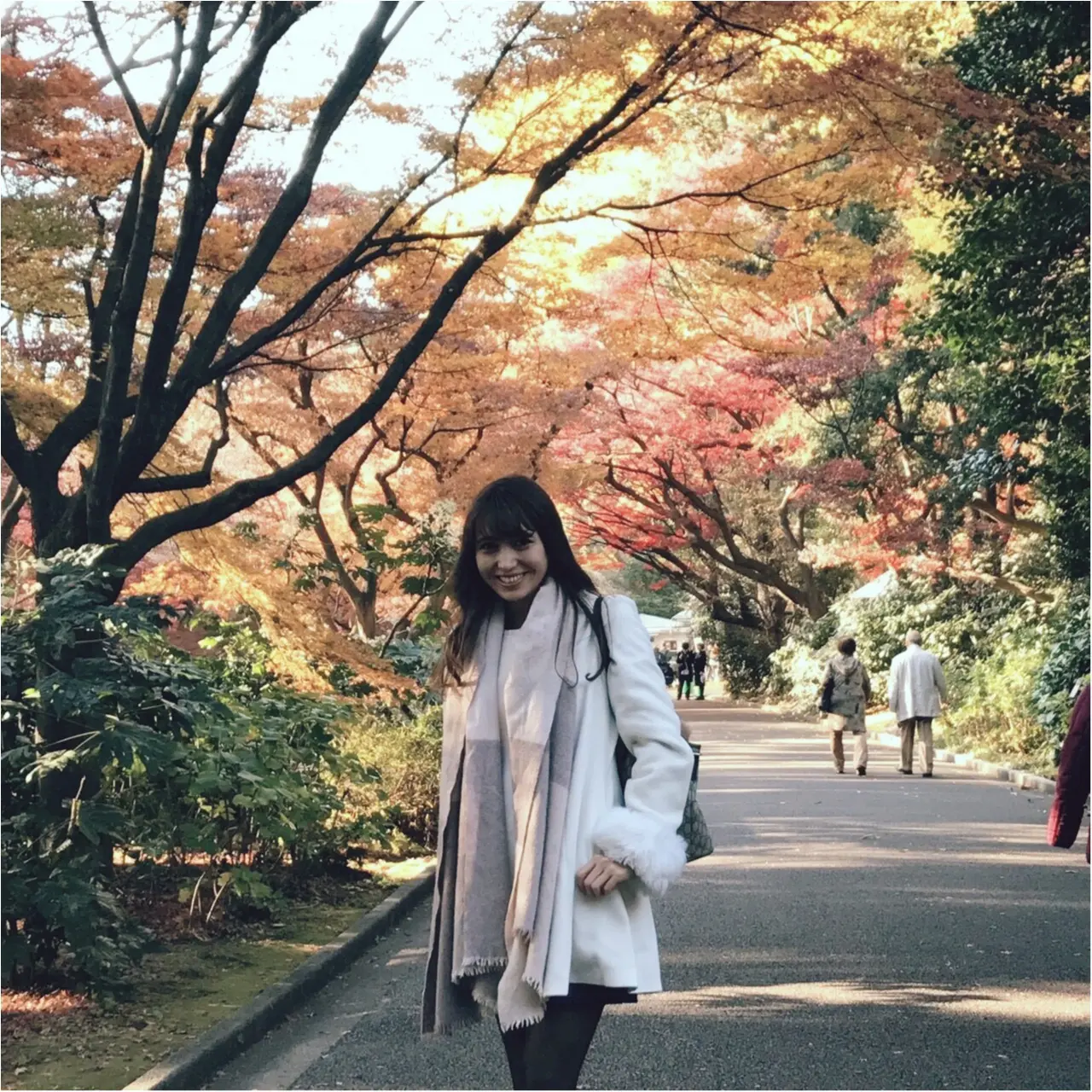 新宿御苑ギリギリ紅葉間に合いました!_1