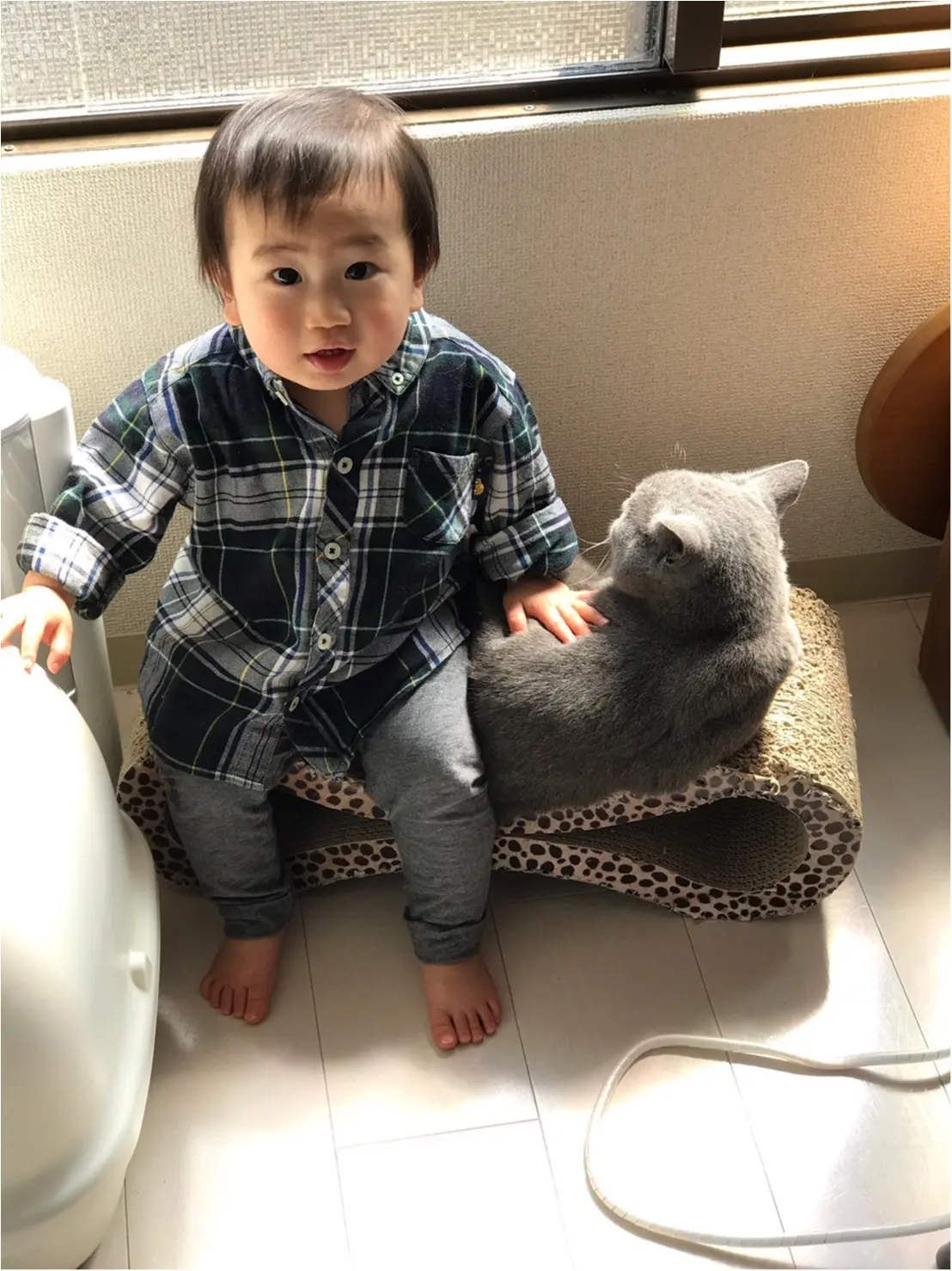 【今日のにゃんこ】キッズにメロメロ♡ お兄ちゃんぶりたいレオくん_1