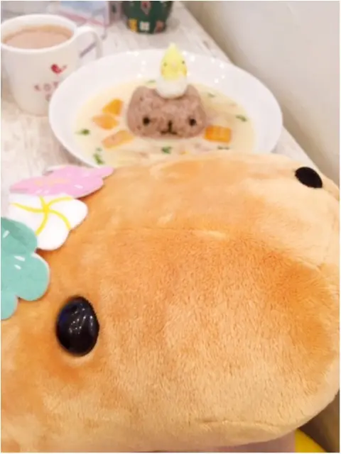 来年の干支に因んだコラボ♡『カピバラさん×ことりカフェ』に行ってきました(﹡´◡`﹡ )_11