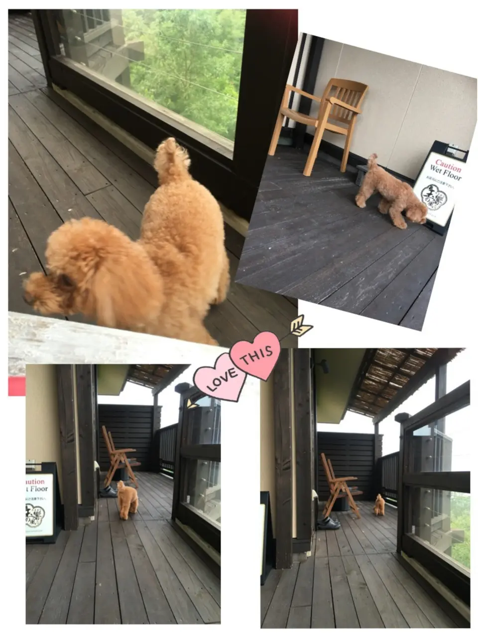 ♡旅行中でも太らないダイエットポイント♡モアハピ◡̈のぞみ♡_9