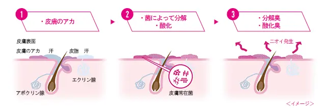【サンプルキャンペーン実施中】気になるワキ汗&ニオイのためのQ&A「もしかして……」の不安にお答えします!_5