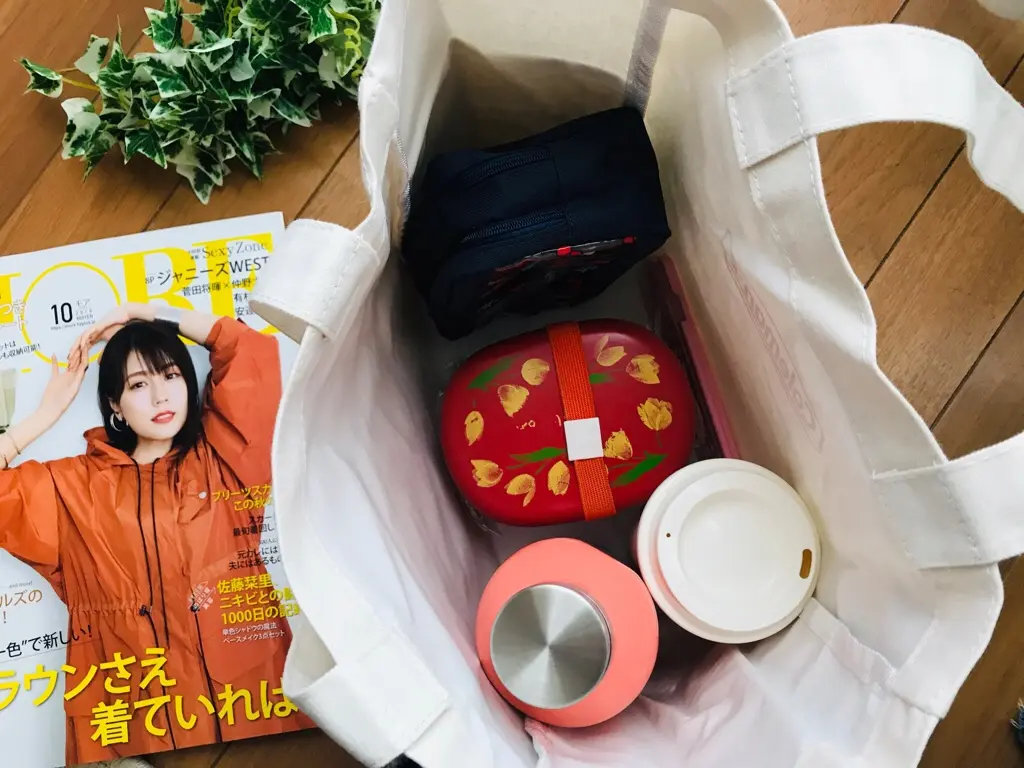 【MORE10月号】今月買うべき神付録!《Coleman》Wポケットつきキャンバストートが可愛すぎ♡_3