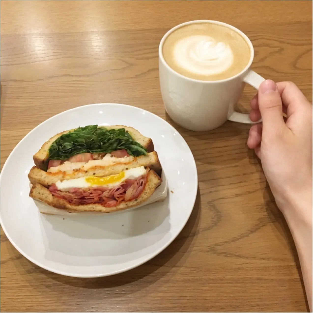 【5月16日まで】スターバックスで購入すると『 ピクニックシート 』でもらえるキャンペーンが実施中♡_6
