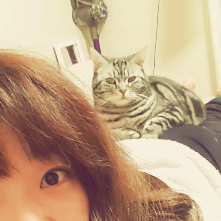 本日のにゃんこ チュルちゃん_1