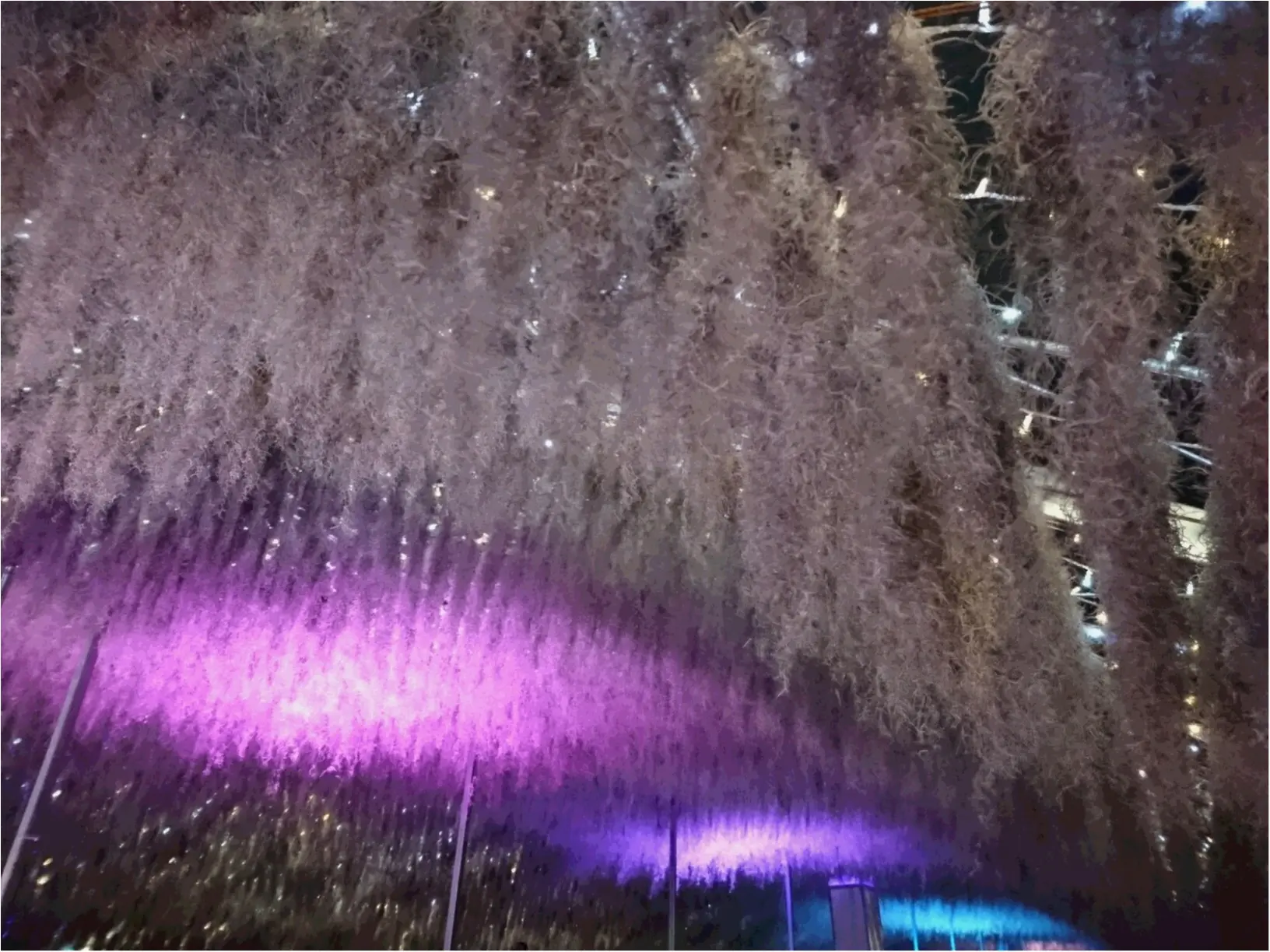 兵庫県は今、神戸がホットスポット☆ 開港150周年&世界一のクリスマスツリー ☆_4