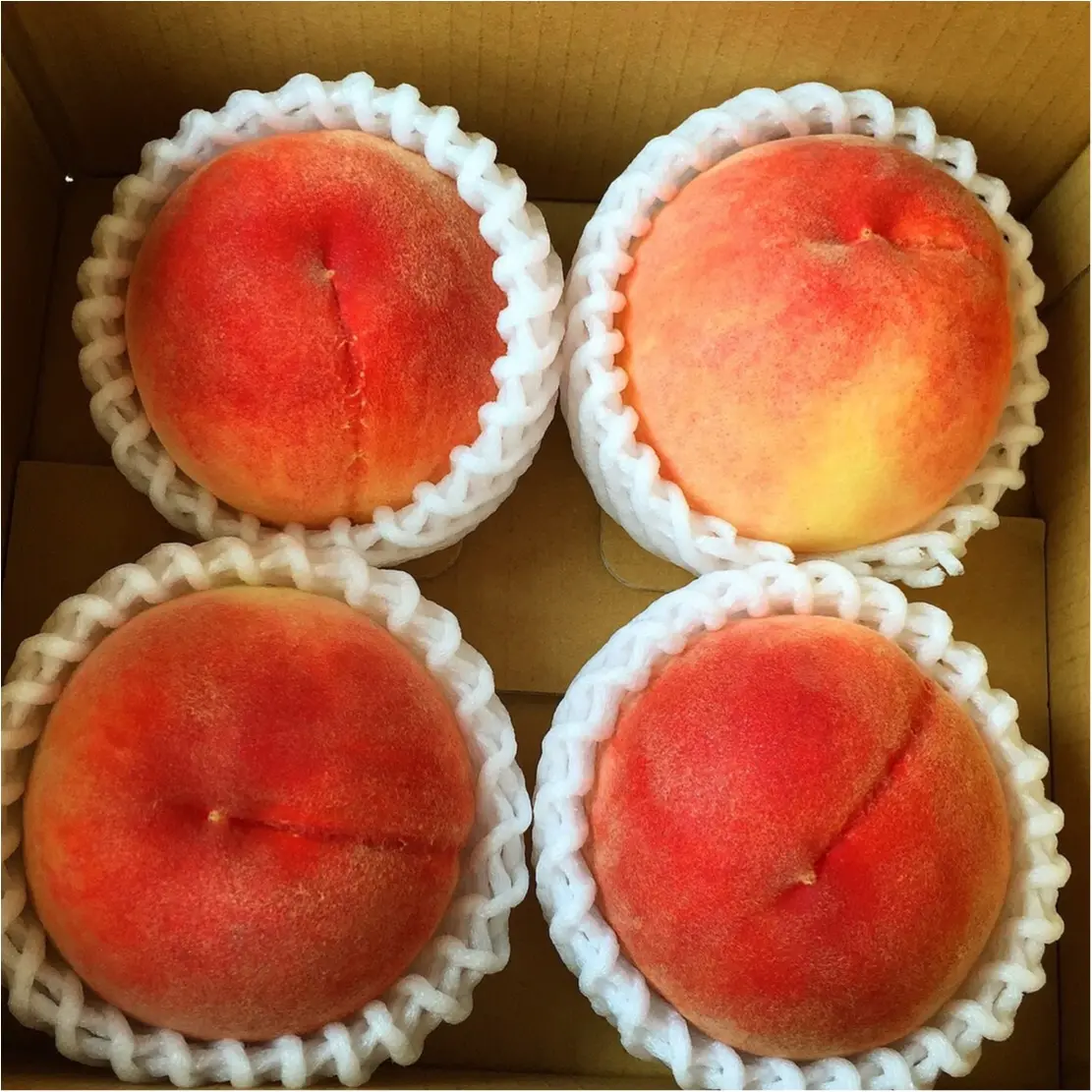 絶景を眺めながら桃食べ放題♡♡《*山梨*》に桃狩り日帰り旅行に行ってきました♪♪_7