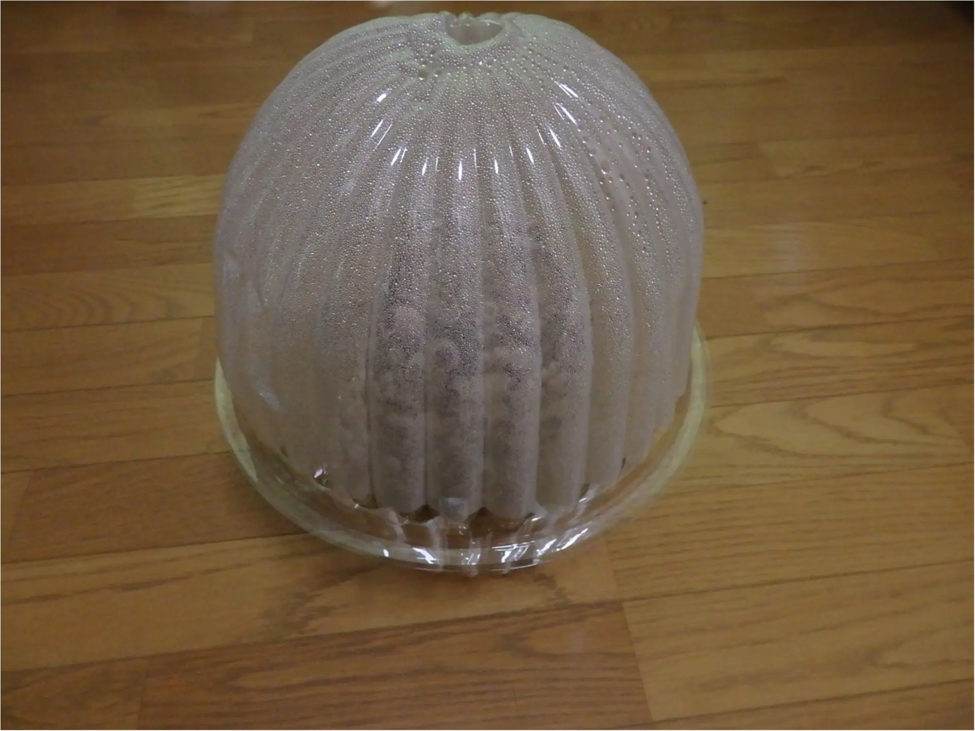 【大量】しいたけ栽培してみました_5