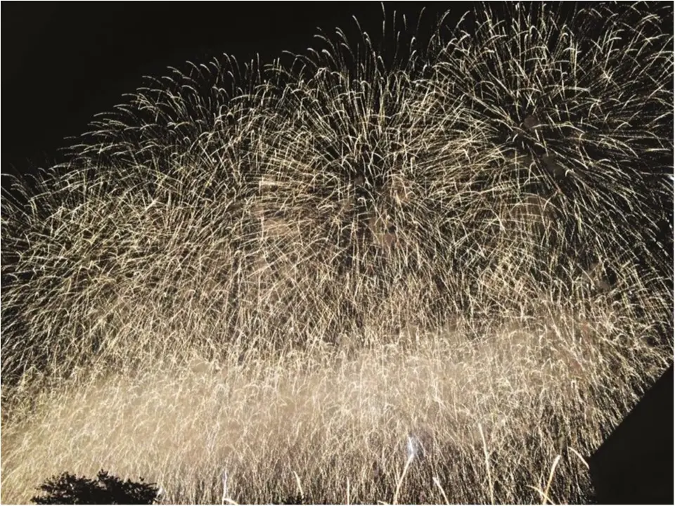 ≪ おすすめ花火情報 ≫ 全国屈指のデザイン花火!山形・赤川花火大会!!_5