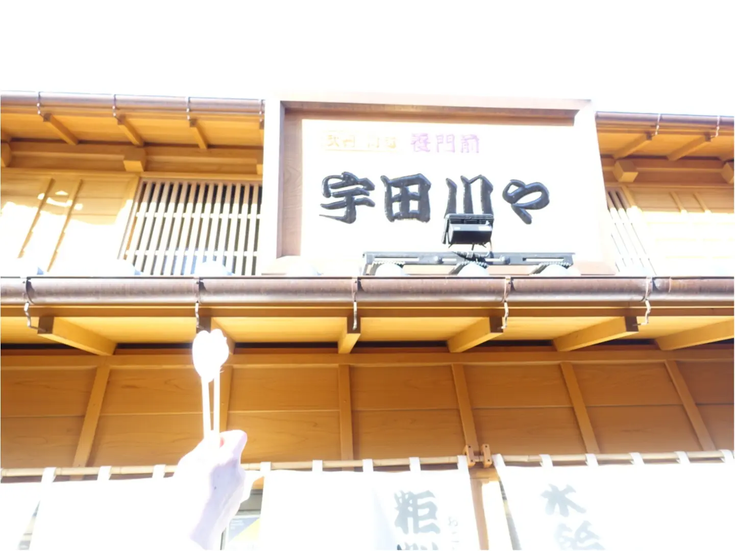 《休日おでかけ》食べ歩きがしたい!いつもと違う雰囲気に癒されたい!でも遠いのはなぁ、、。【さあ、川越へ行こう!】_5