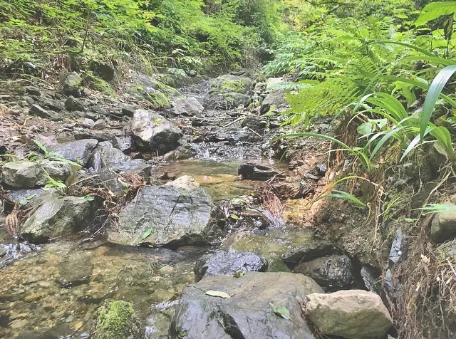 【休日の過ごし方】Go to 高尾山〜小学生ぶりに山登りしてみました〜_3