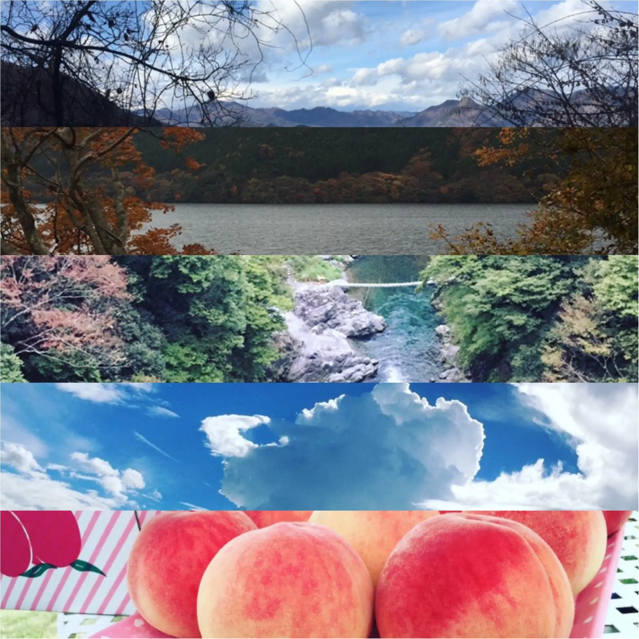 日帰りの旅が充実✨【国内プチ旅行のまとめ*2016】_17