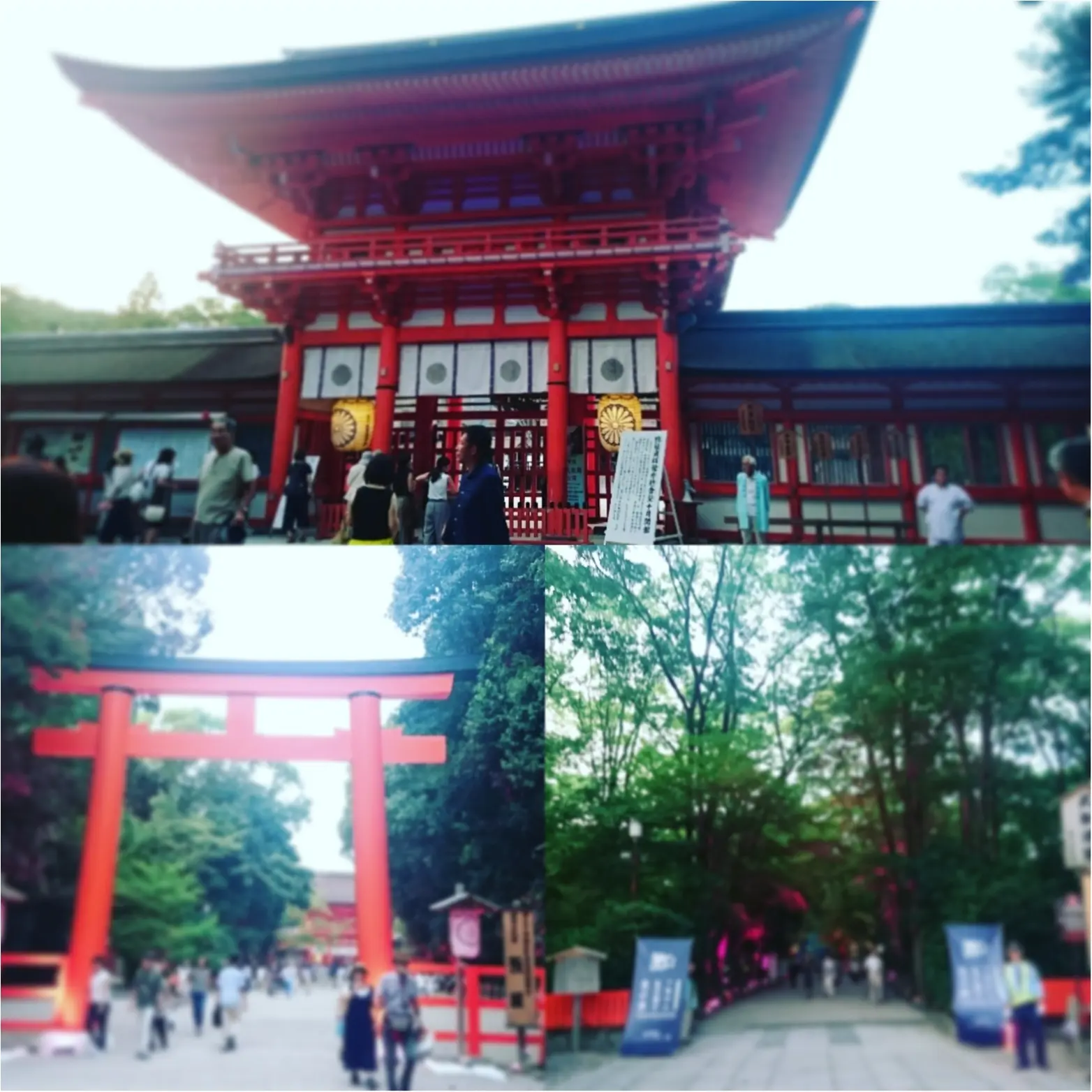 8/31まで‼ teamLabによる光の祭 in Kyoto_2
