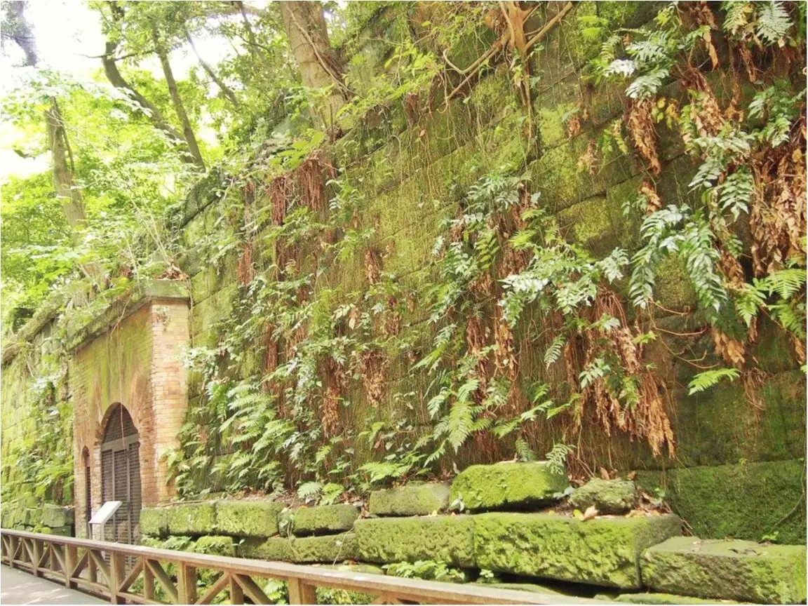 今度のDay Tripはあの無人島に決まり!都内から1時間で行けるラピュタの世界♡_13