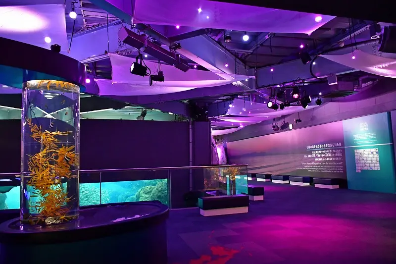 新江ノ島水族館のゆらぎの海廊の画像