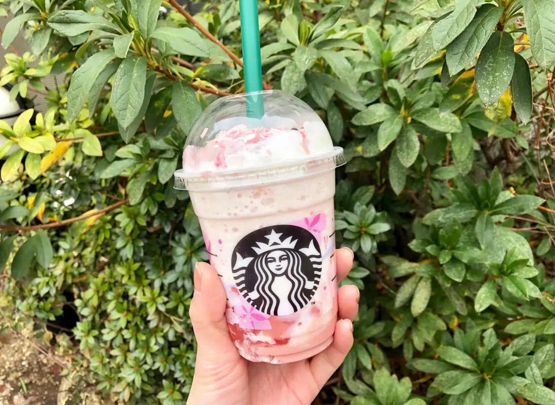 【スタバ】速報!《さくらフルフラペチーノ》は可愛くて美味しい最強ドリンクだった❤️_1
