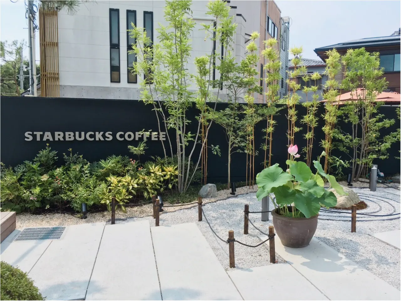 本当は教えたくない♡京都なのに空いてて、日本庭園で飲める!穴場の【スタバ】があるんです(*°○°*)_2