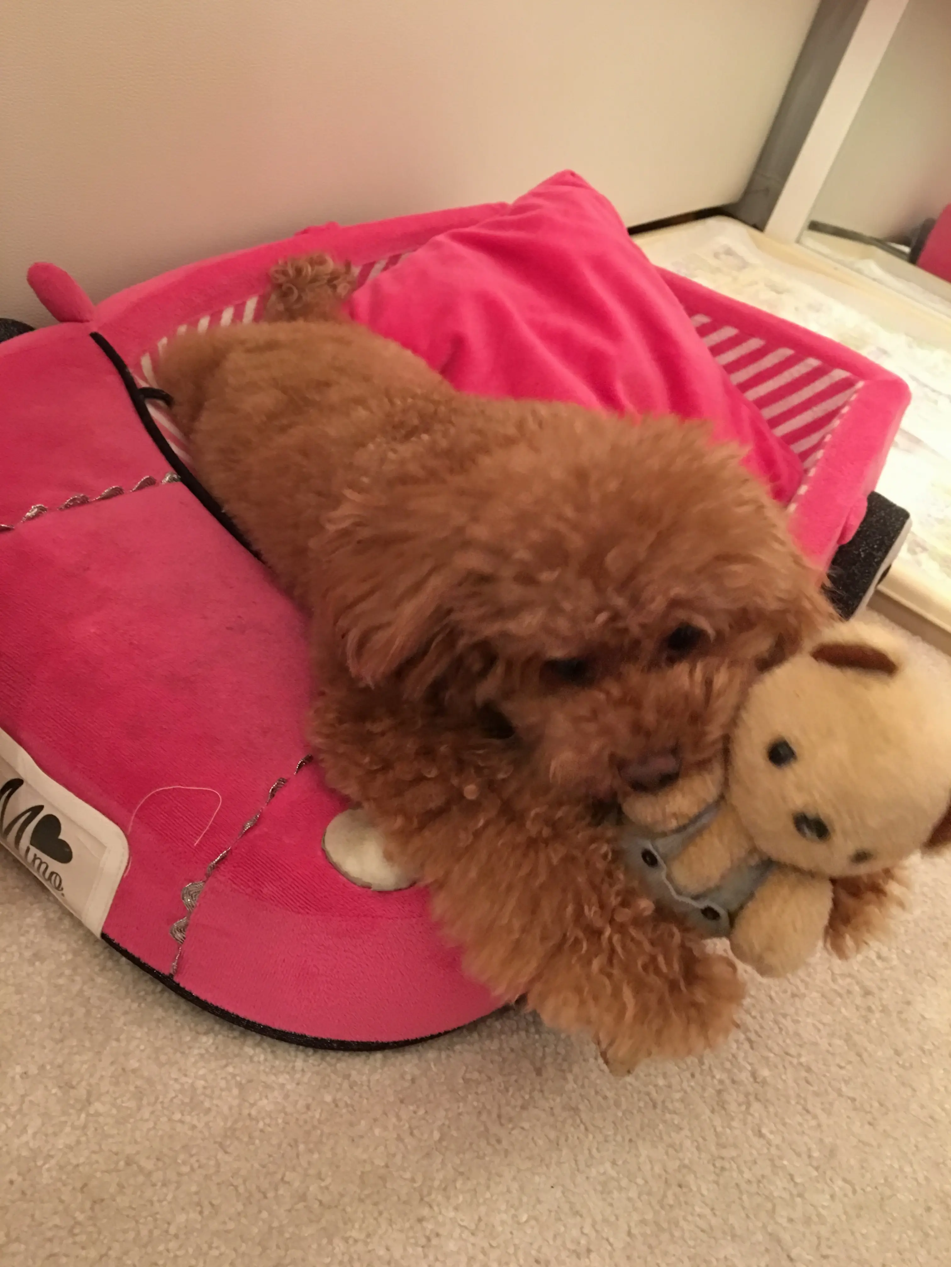 ♡ほのぼの癒しのまるこ♡モアハピ◡̈のぞみ♡_9