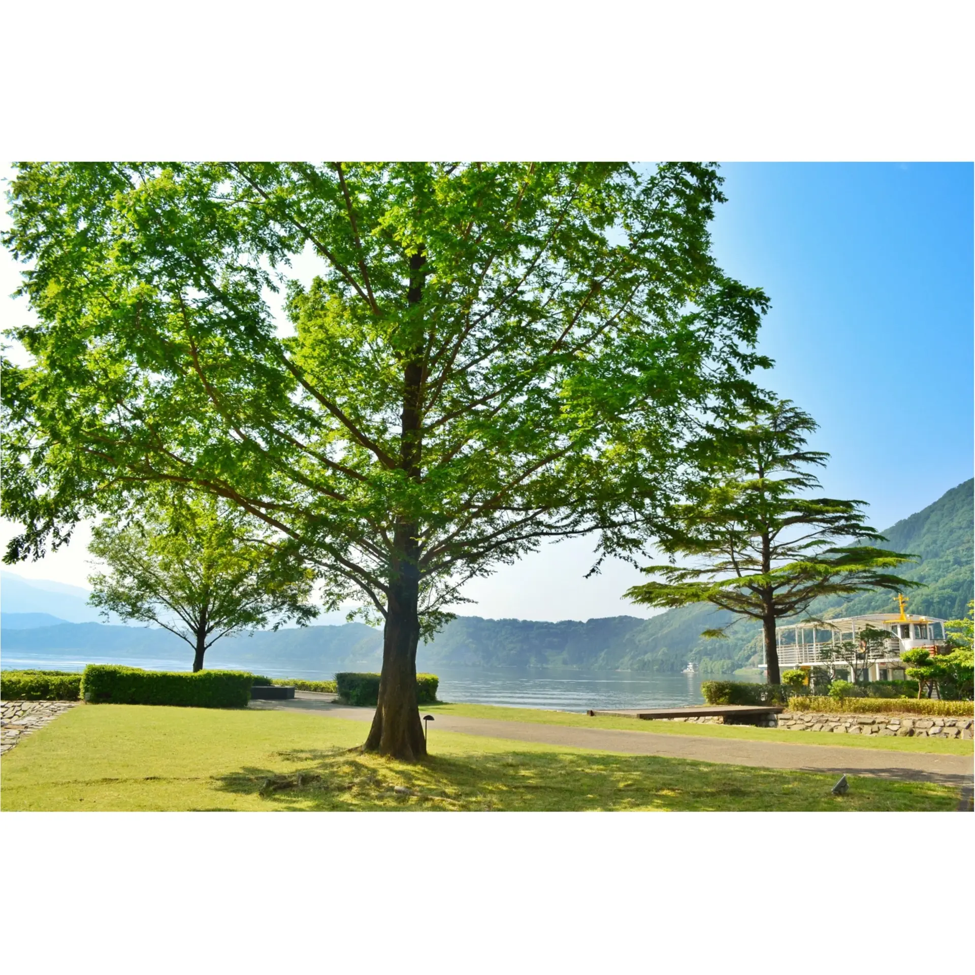 次の週末にオススメしたい!福井の魅力♡ ー 美しすぎる5つの絶景 前編 _4