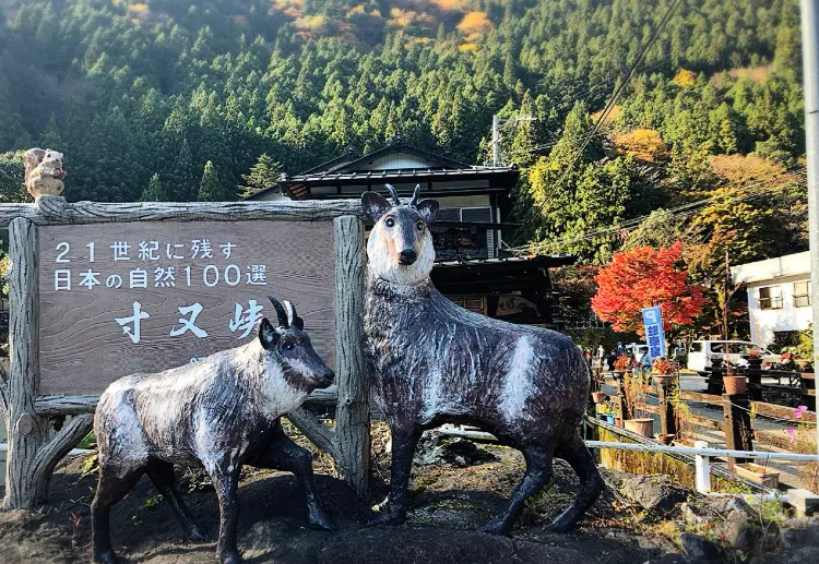【#静岡】《夢の吊り橋×秋・紅葉》美しすぎるミルキーブルーの湖と紅葉のコントラストにうっとり♡湖上の吊り橋で空中散歩気分˚✧₊_1