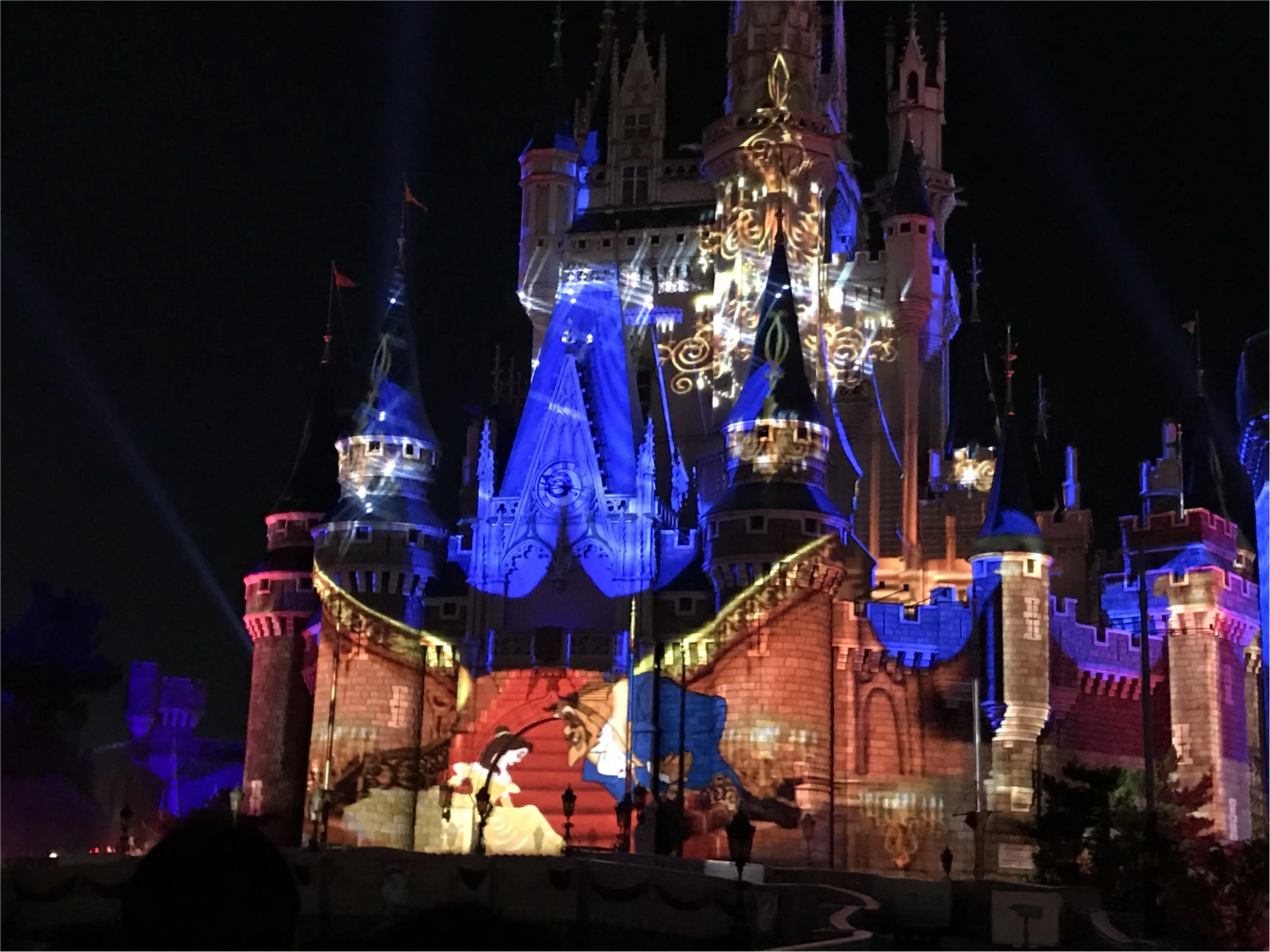【超話題!】東京ディズニーランドのナイトタイムスぺクタキュラー_4